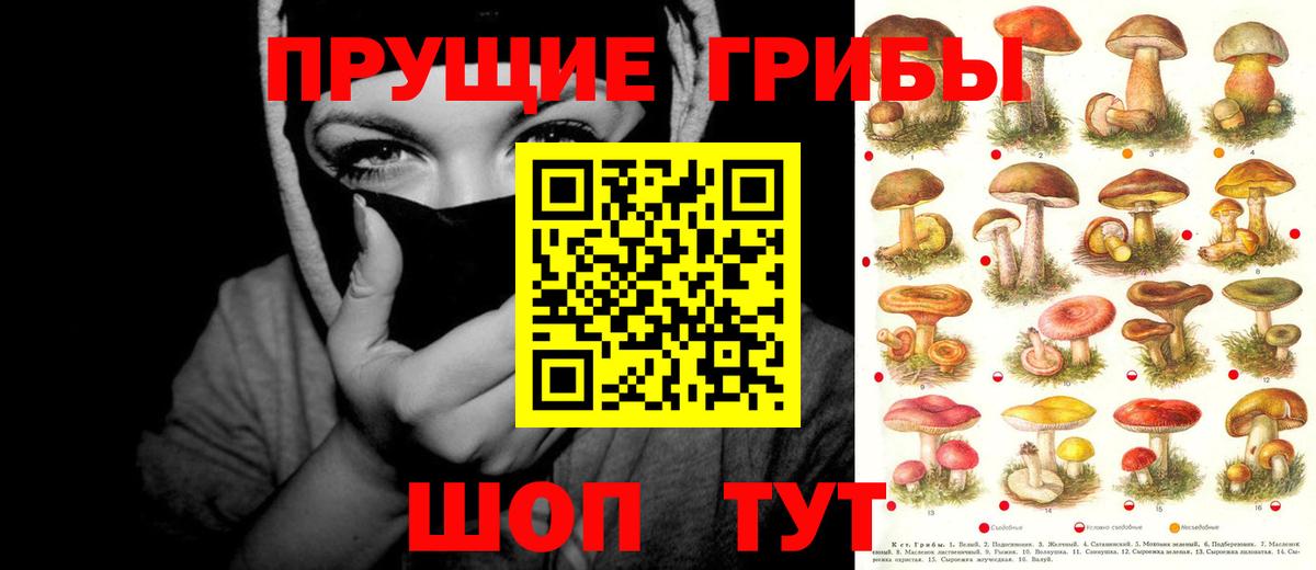 Волжский  Галлюциногенные грибы мицелий  Вход с VPN 