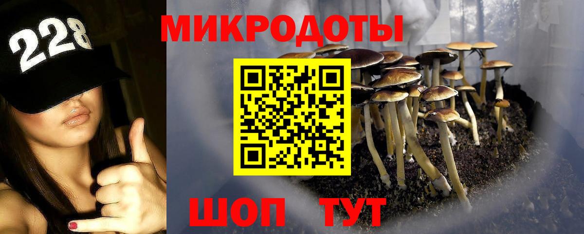 Псилоцибиновые грибы ЛСД Волжский